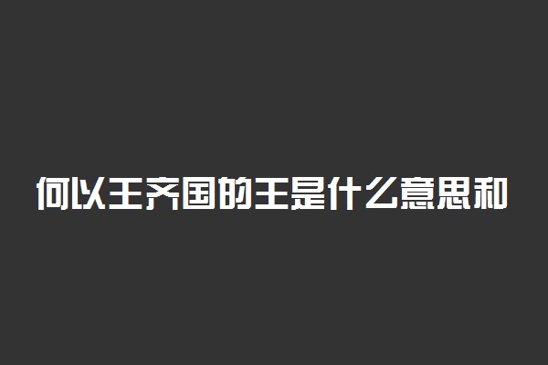 何以王齐国的王是什么意思和用法