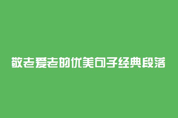 敬老爱老的优美句子经典段落