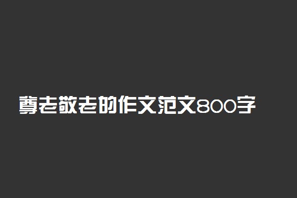 尊老敬老的作文范文800字精选5篇