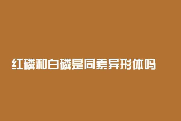 红磷和白磷是同素异形体吗