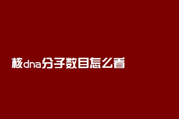 核dna分子数目怎么看