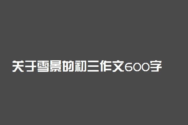 关于雪景的初三作文600字