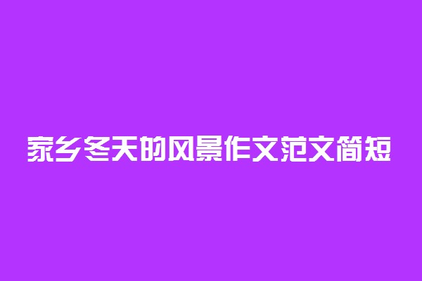 家乡冬天的风景作文范文简短