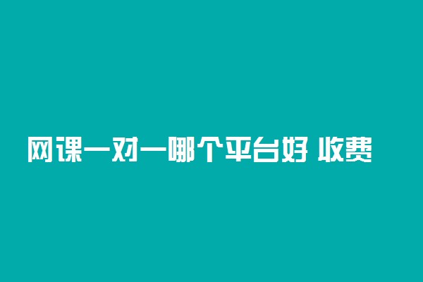 网课一对一哪个平台好 收费标准是什么