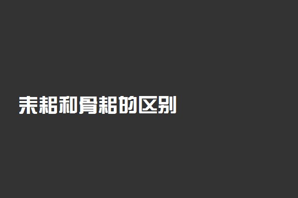 耒耜和骨耜的区别