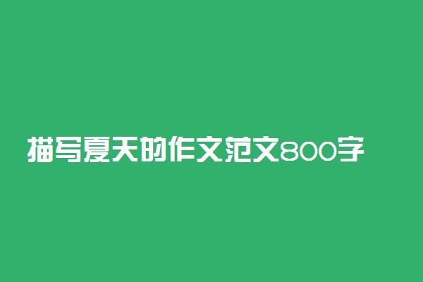 描写夏天的作文范文800字