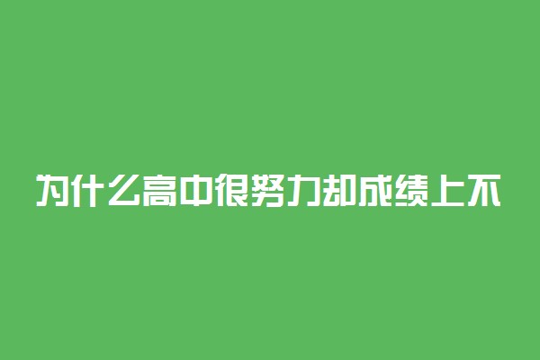 为什么高中很努力却成绩上不去