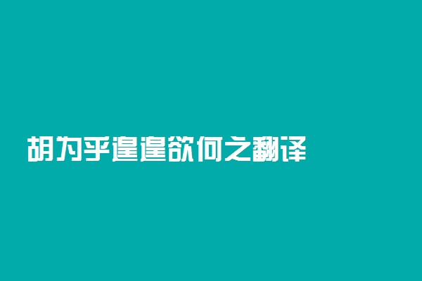 胡为乎遑遑欲何之翻译