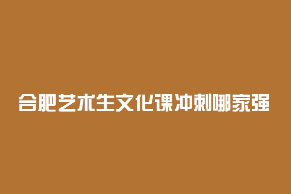 合肥艺术生文化课冲刺哪家强