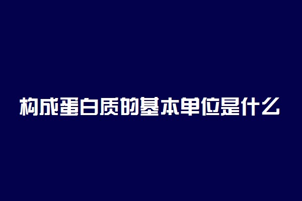 构成蛋白质的基本单位是什么