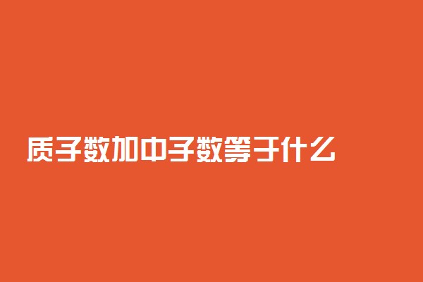 质子数加中子数等于什么