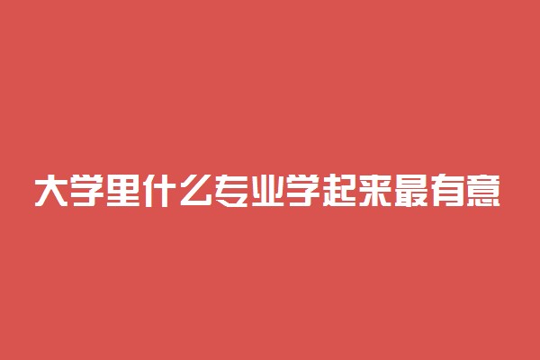 大学里什么专业学起来最有意思