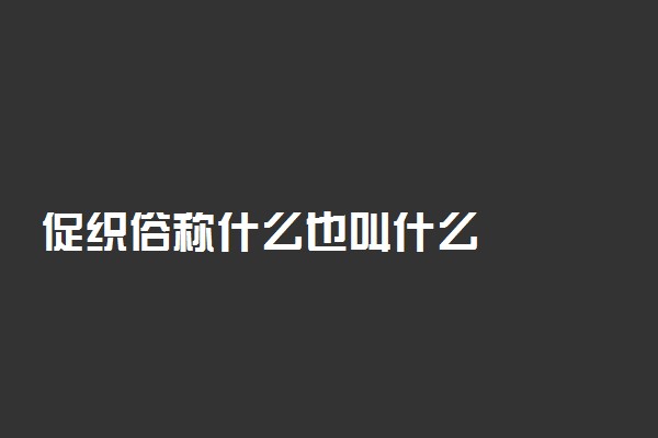 促织俗称什么也叫什么