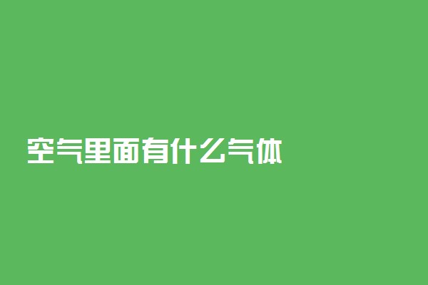 空气里面有什么气体