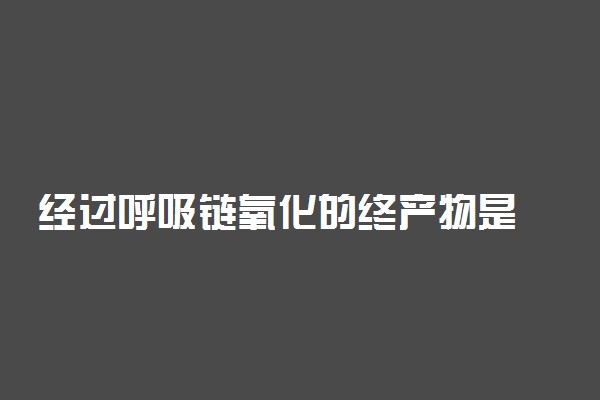 经过呼吸链氧化的终产物是