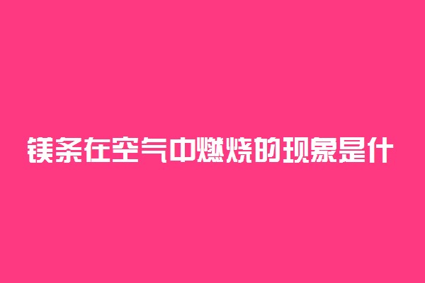 镁条在空气中燃烧的现象是什么