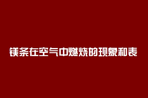 镁条在空气中燃烧的现象和表达式