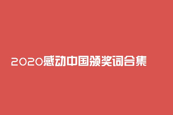 2020感动中国颁奖词合集完整版