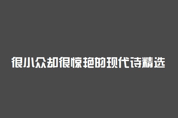 很小众却很惊艳的现代诗精选