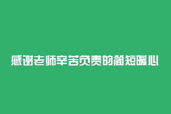 感谢老师辛苦负责的简短暖心话