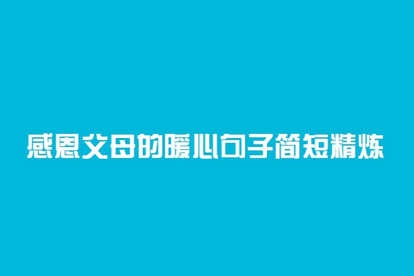 感恩父母的暖心句子简短精炼