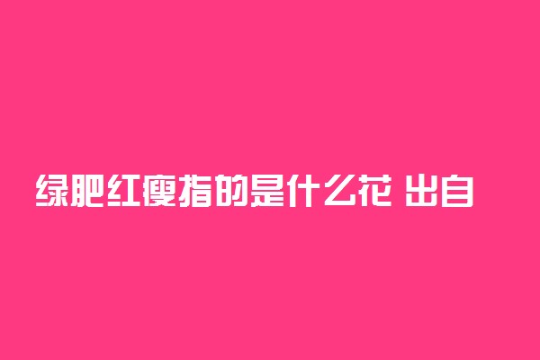 绿肥红瘦指的是什么花 出自哪首诗