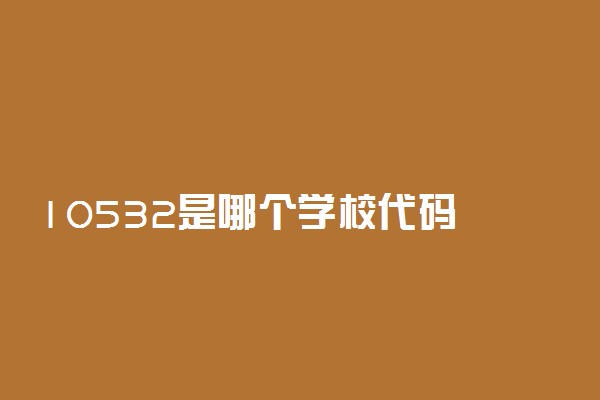 10532是哪个学校代码 是什么意思