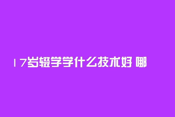 17岁辍学学什么技术好 哪些技术有前景