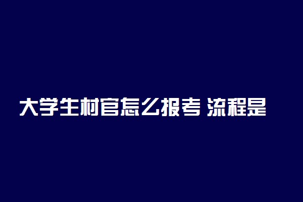 大学生村官怎么报考 流程是什么