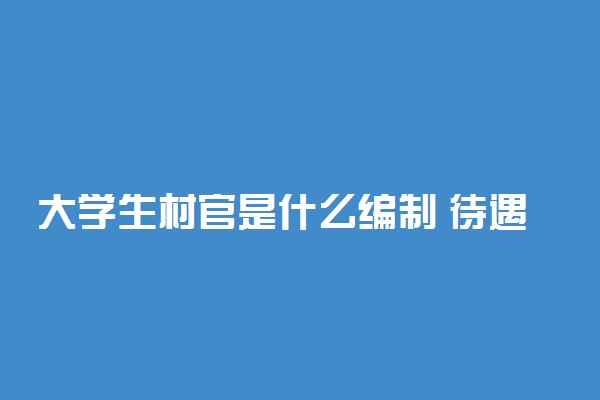 大学生村官是什么编制 待遇好不好