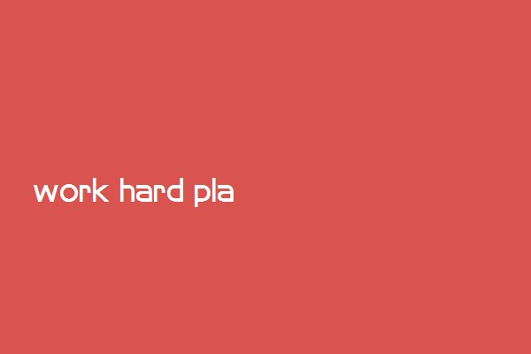 work hard play hard意思