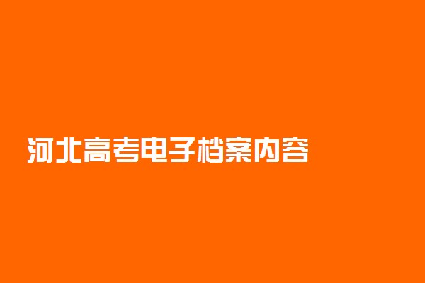 河北高考电子档案内容