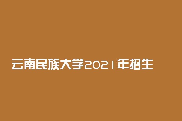 云南民族大学2021年招生简章 一年学费是多少
