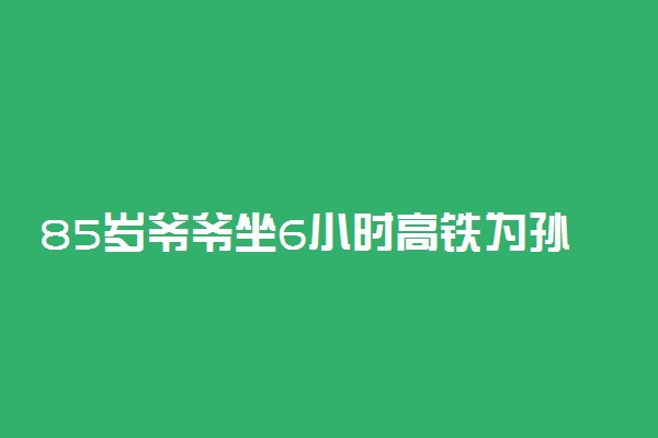 85岁爷爷坐6小时高铁为孙女陪考