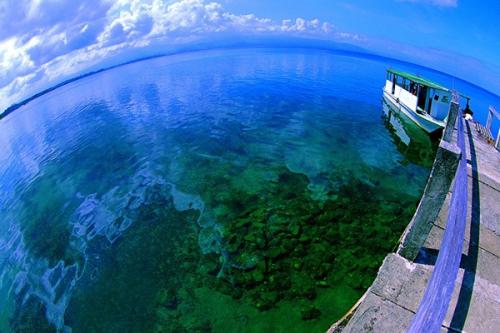 海洋渔业科学与技术专业大学排名 2021最新排行榜