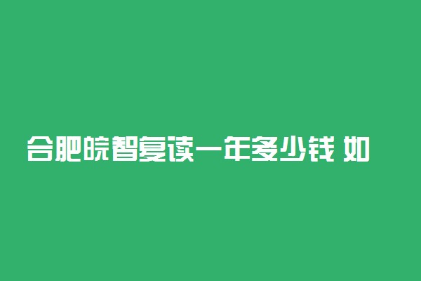 合肥皖智复读一年多少钱 如何收费