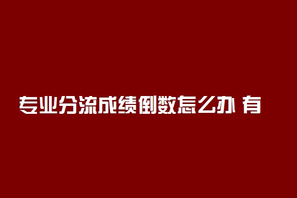 专业分流成绩倒数怎么办 有哪些办法