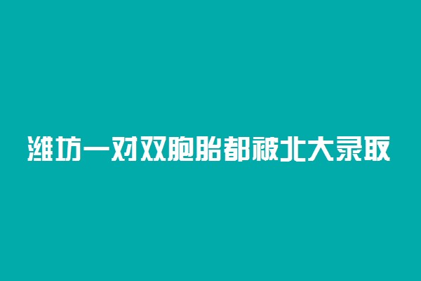 潍坊一对双胞胎都被北大录取