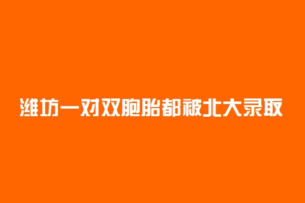 潍坊一对双胞胎都被北大录取 具体是什么情况