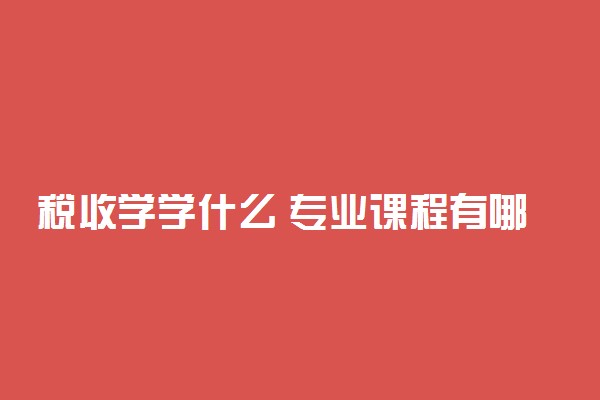 税收学学什么 专业课程有哪些