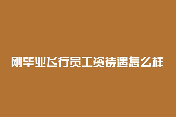 刚毕业飞行员工资待遇怎么样 工资高吗