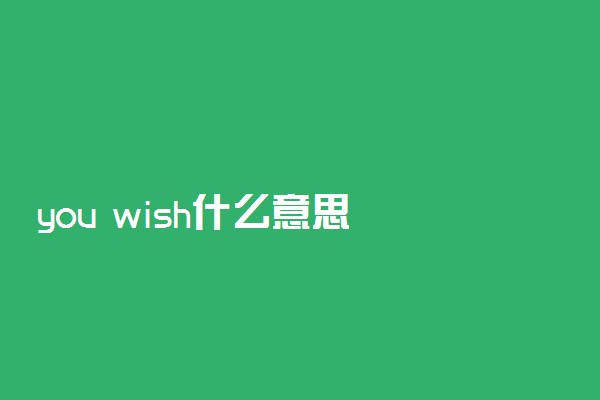 you wish什么意思