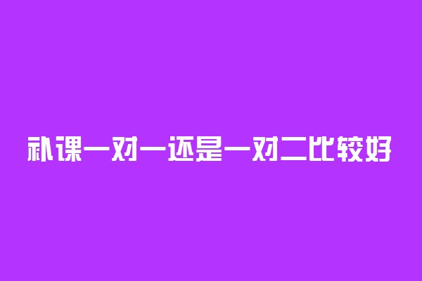 补课一对一还是一对二比较好 有什么区别