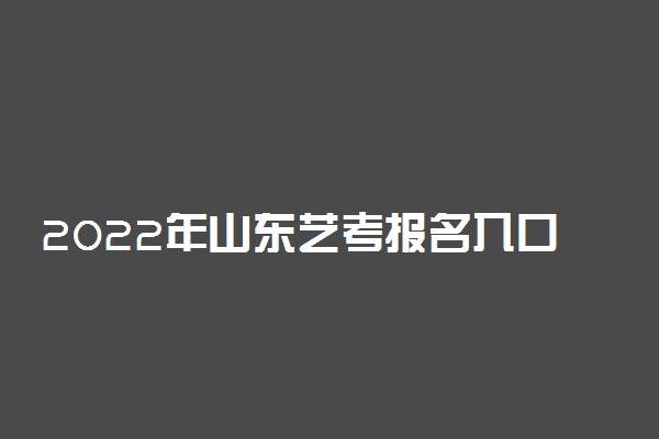 2022年山东艺考报名入口：山东省招生考试信息平台