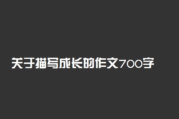 关于描写成长的作文700字：我心目中的英雄