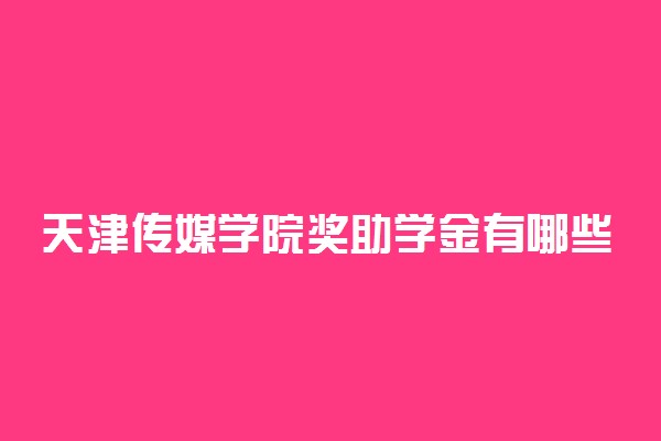 天津传媒学院奖助学金有哪些分别多少钱 怎么申请评定