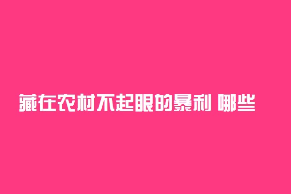 藏在农村不起眼的暴利 哪些行业利润高