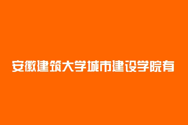 安徽建筑大学城市建设学院有专科吗