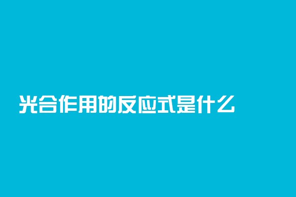 光合作用的反应式是什么