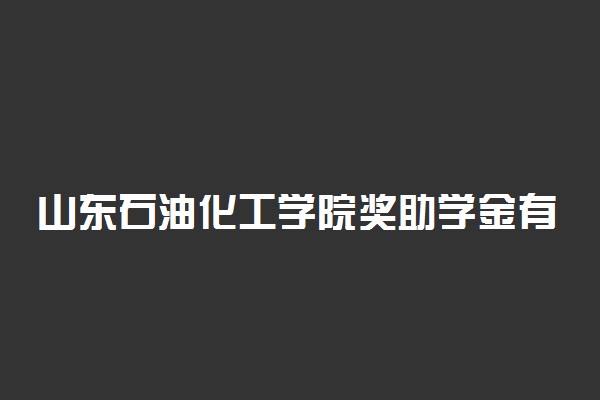 山东石油化工学院奖助学金有哪些分别多少钱 怎么申请评定